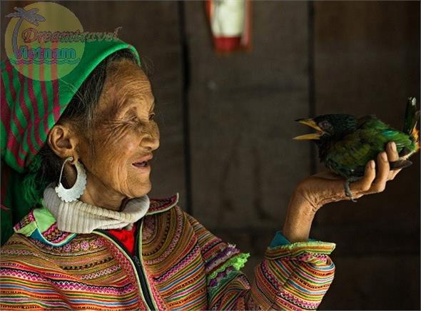 Vòng Cung Đông Bắc: Hà Giang - Đồng Văn - Cao Bằng - Bản Giốc - Ba Bể (Tour được yêu thích) Vòng Cung Đông Bắc: Hà Giang - Đồng Văn - Cao Bằng - Bản Giốc - Ba Bể (Tour được yêu thích)